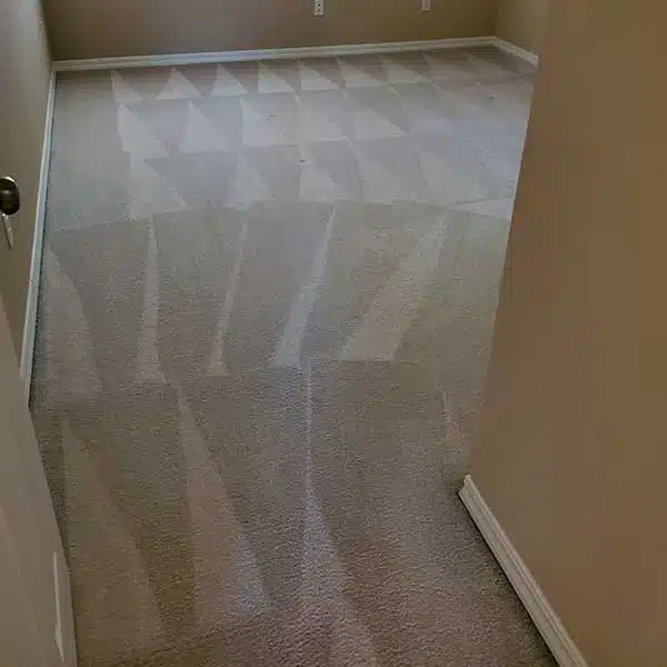 Carpet Cleaning in Sacramento